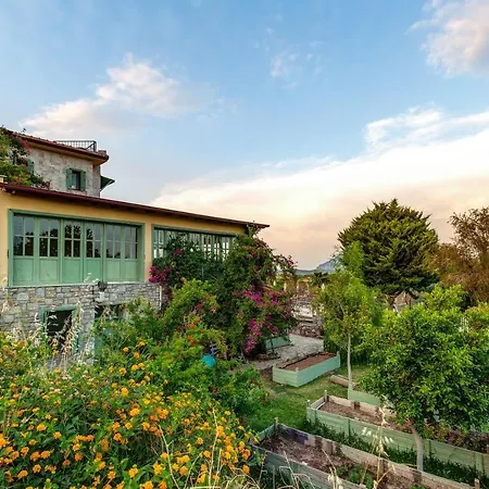 Casa Di B&B *